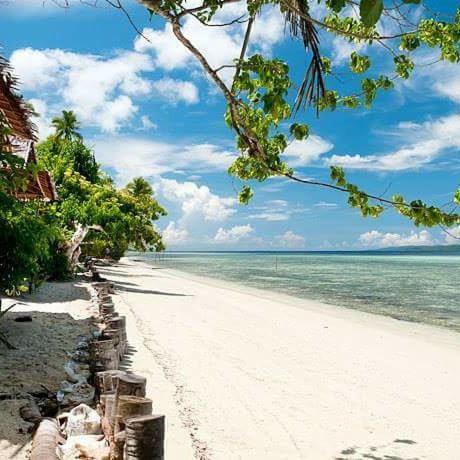شقة مامبترون هومستاي Pulau Mansuar المظهر الخارجي الصورة
