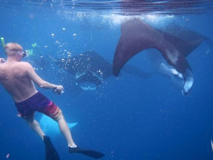 شقة مامبترون هومستاي Pulau Mansuar المظهر الخارجي الصورة